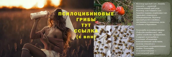синтетический гашиш Покровск
