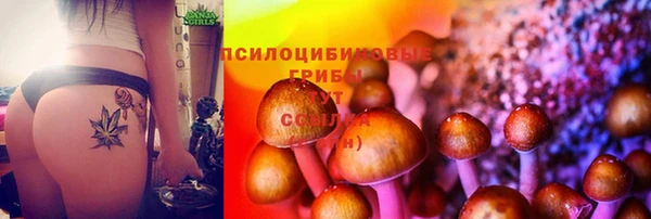 Альфа ПВП Балабаново